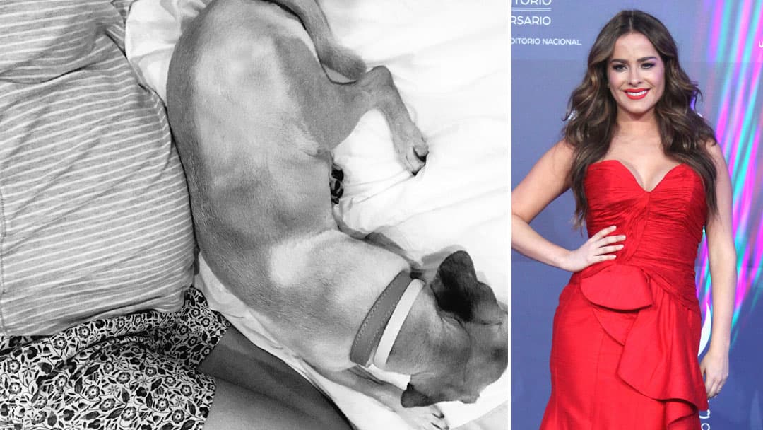 Danna García ya no oculta su embarazo y lo mostró en redes sociales