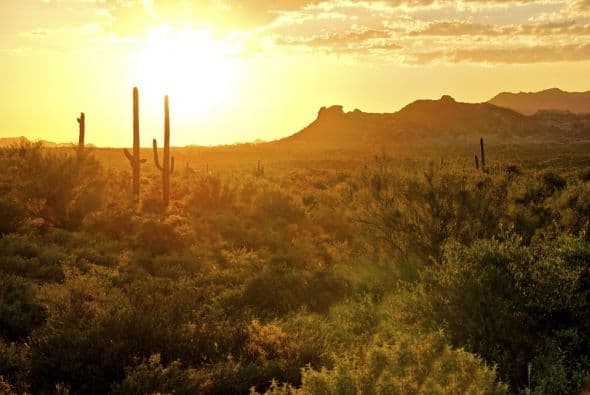 Las temperaturas en Fresno alcanzan máximas que no se registraban desde 1900 