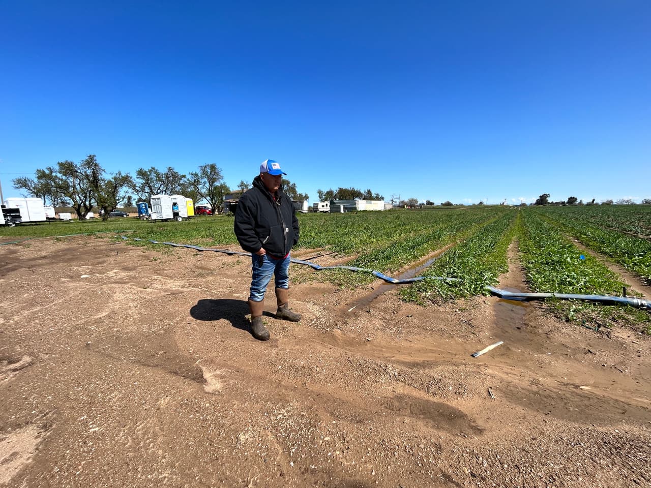 Tormentas invernales causan estragos en el campo y pérdidas de empleo