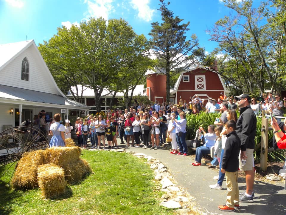 Esto llevó al inicio del Festival Otoño en Oz en 1993, un evento anual en septiembre que atrajo a miles de visitantes nostálgicos.