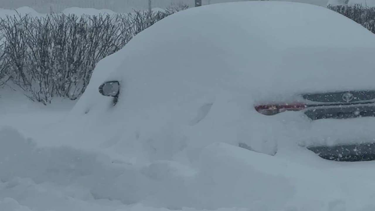 Tormenta invernal azota EEUU y provoca cancelaciones masivas de vuelos