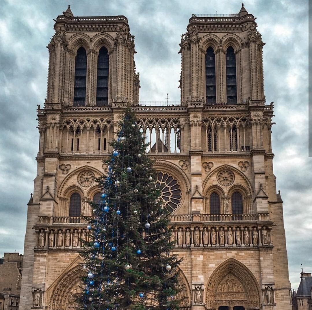 El pasado lunes 15 de abril, las llamas arrasaron la catedral de Notre Dame en París, hecho que entristeció a la población local y al mundo. A través de redes sociales miles de usuarios manifestaron sus sentimientos ante este acontecimiento, y también compartieron fotografías para recordar que tuvieron la oportunidad de estar ahí.
<br>