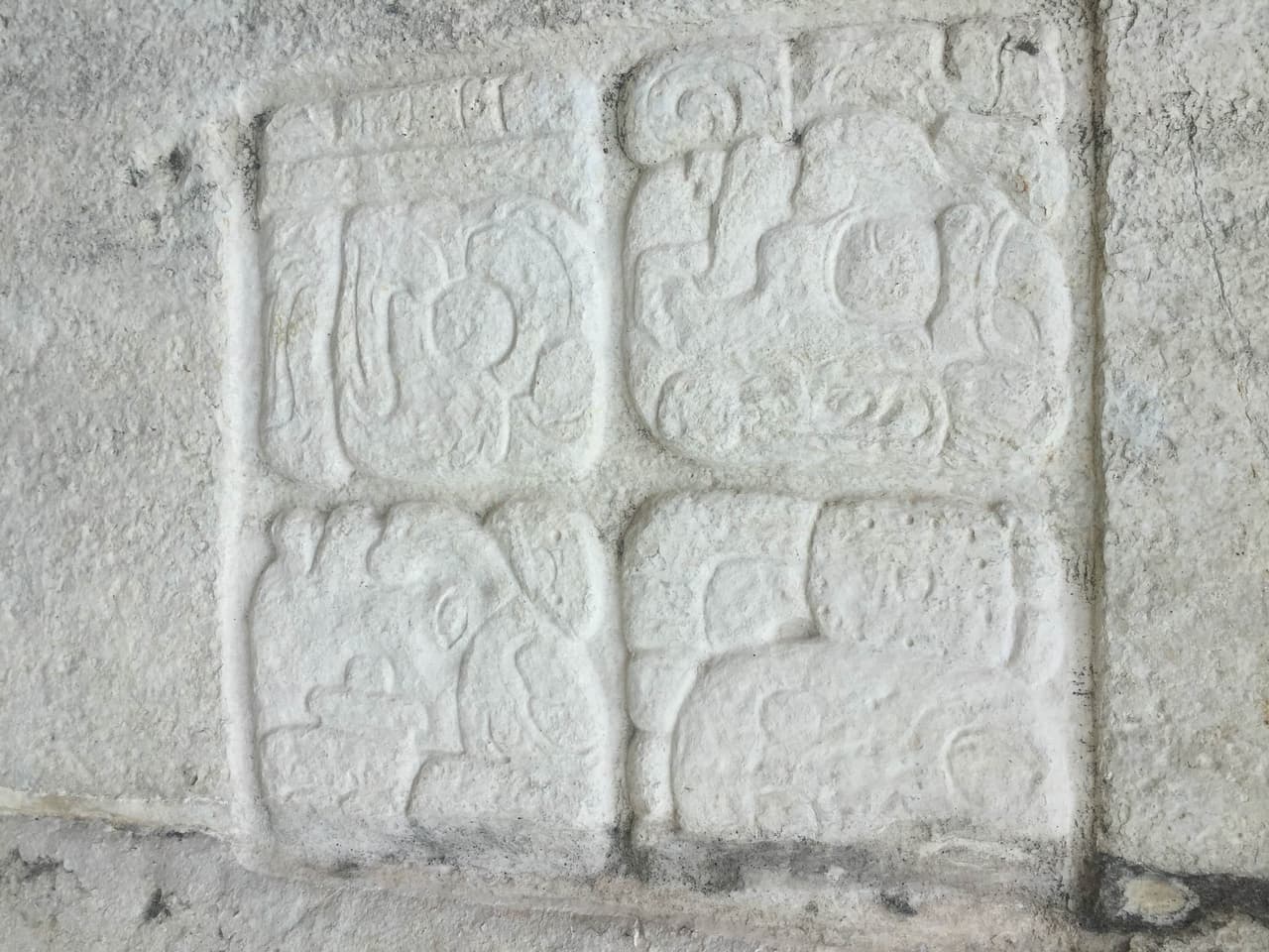 Univision 41 transmitirá una serie especial destinada a mostrar algunas de las contribuciones que la cultura maya le hizo al mundo. Anuar Revuelta nos acompañará en el recorrido que irá desde las ruinas de Palenque en Chiapas hasta la Selva Lacandona, para ver cómo viven los mayas de la actualidad.