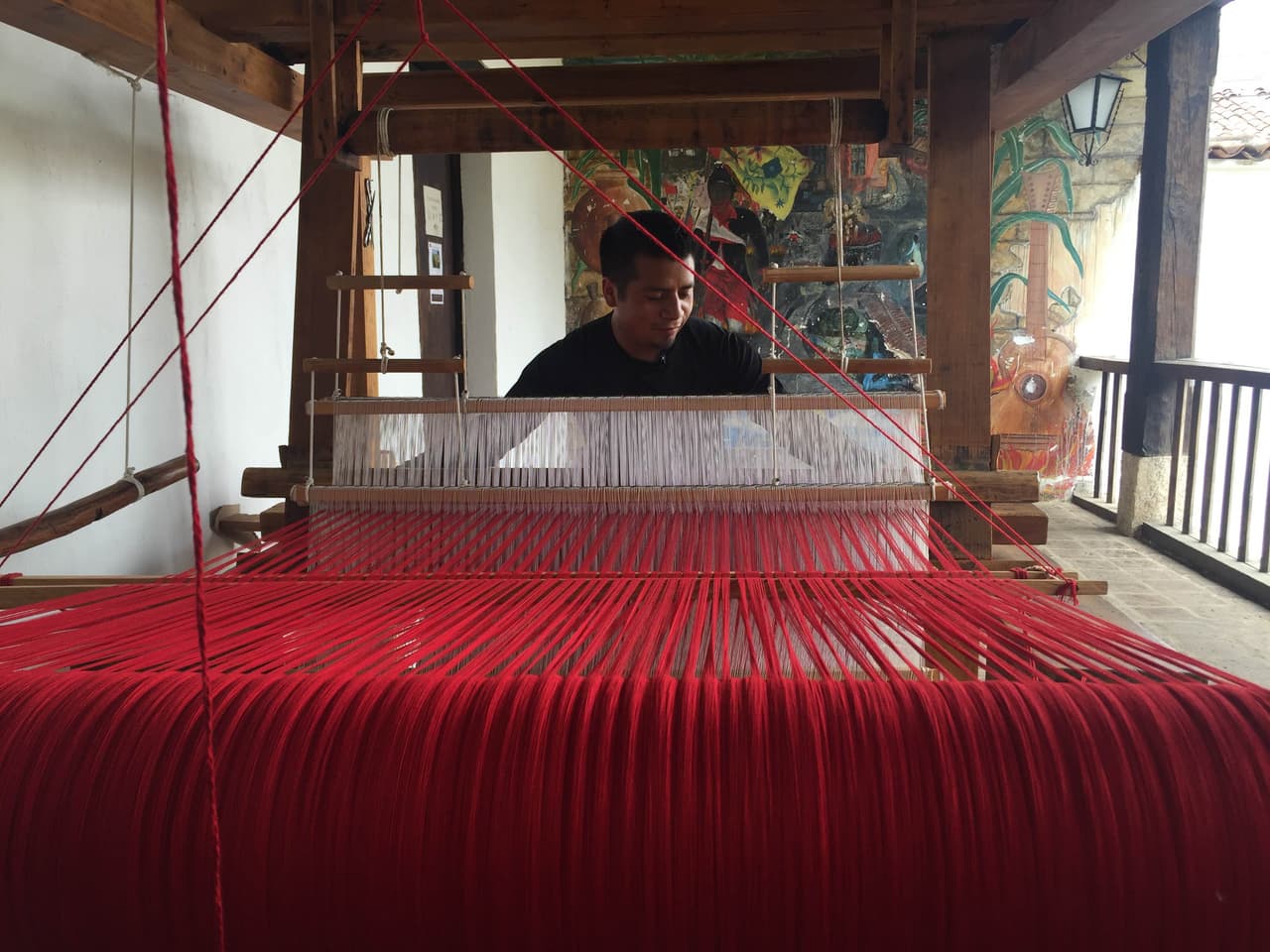 Univision 41 transmitirá una serie especial destinada a mostrar algunas de las contribuciones que la cultura maya le hizo al mundo. Anuar Revuelta nos acompañará en el recorrido que irá desde las ruinas de Palenque en Chiapas hasta la Selva Lacandona, para ver cómo viven los mayas de la actualidad.