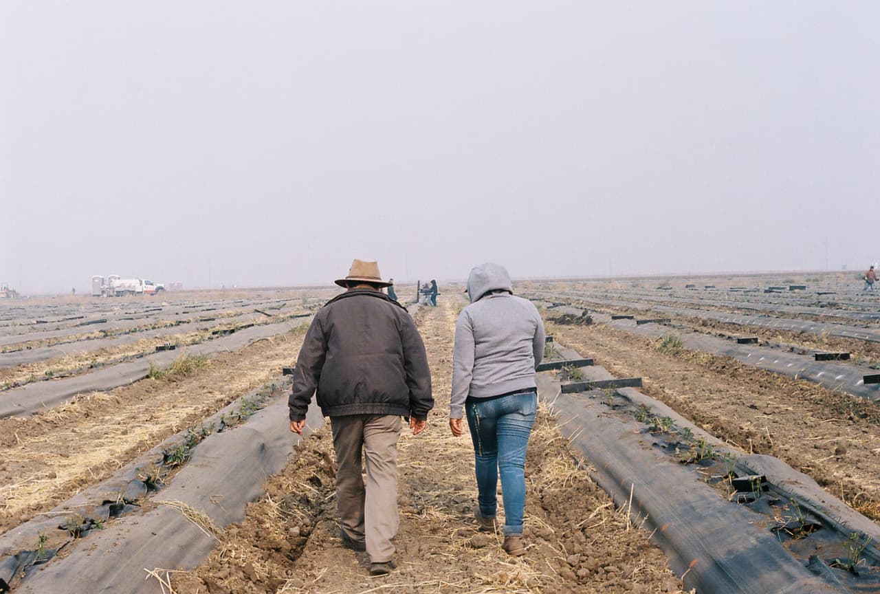 "Se benefician de su ignorancia": los campesinos de California trabajan sin parar a pesar del peligro por los incendios
