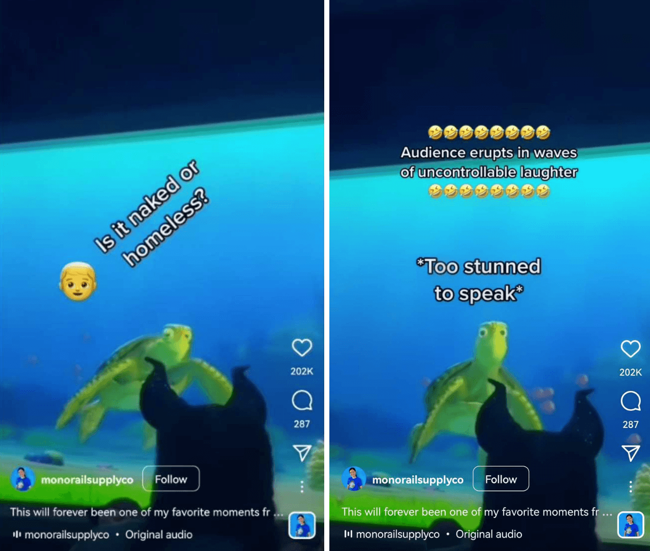 'Turtle Talk with Crush'