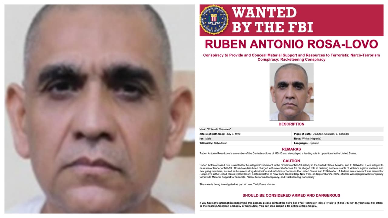 <b>Ruben Antonio Rosa-Lovo </b>
<br>Salvadoreño, de 52 años. Llamado también el “Chivo de Centrales”, por su participación en la agrupación ‘Centrales’ de la MS-13, 
<b>es uno de los cabecillas principales de esa pandilla</b> en tres países: El Salvador, EE.UU y México. Es considerado alguien muy peligroso, según el FBI. 
<br>