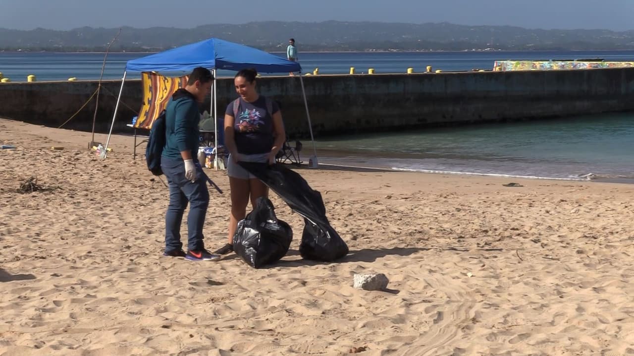 Voluntarios recogen basura.