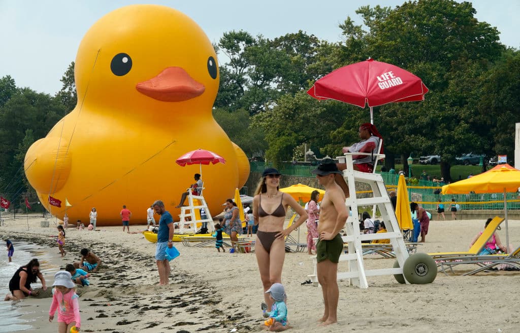Esta vez, no había que temer. Con 61 pies de altura, el equivalente a 19 metros, y pesando 15.5 toneladas, "Mama Duck" no pasó desapercibida por los visitantes a esta zona recreativa en el condado Westchester.