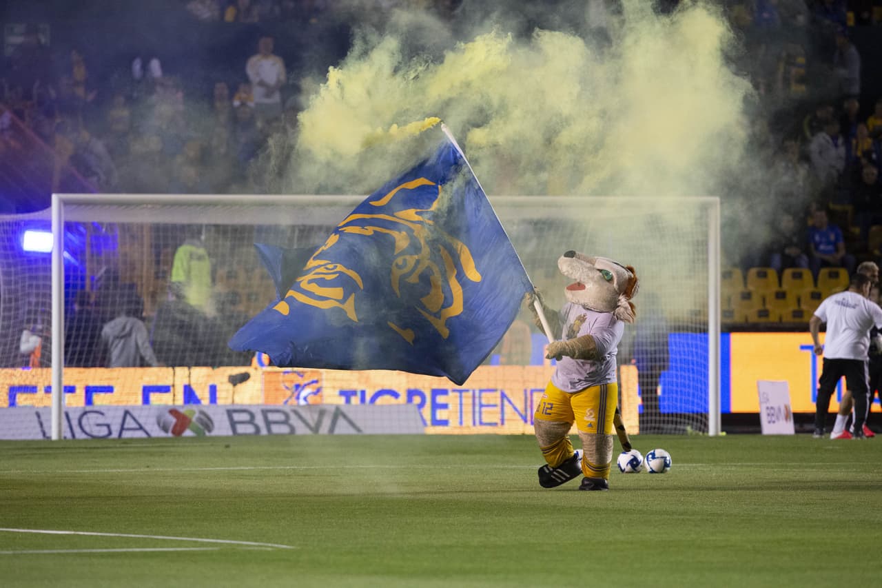 El felino haciendo el ambiente en El Volcán.