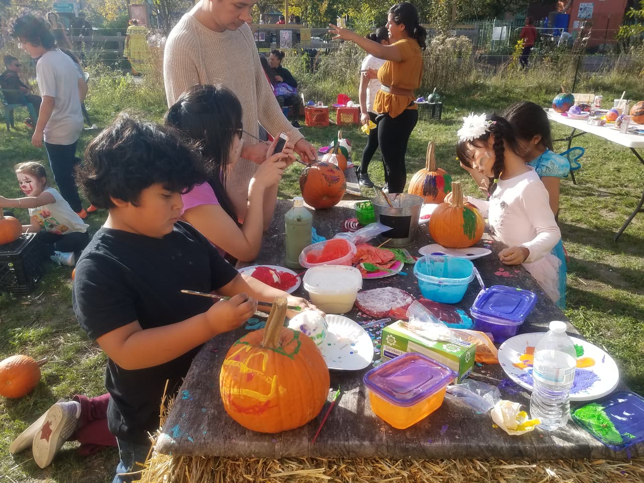 El área donde se encuentra este vibrante jardín comunitario llamado "El paseo" alguna vez fue un terreno abandonado al oeste de Chicago. Sin embargo, hoy en día es un lugar donde personas de todas las edades conviven, aprenden y cosechan sus propios alimentos.