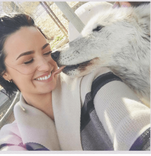 Demi Lovato celebró el cumpleaños de su novio Wilmer Valderrama de un modo súper salvaje.