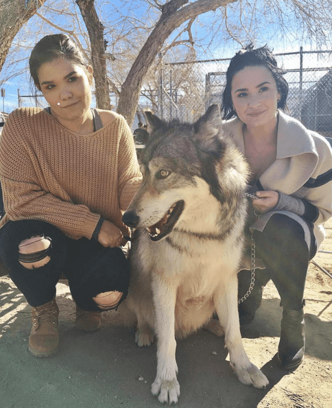 Como es amante de los animales, Demi aprovechó para sacarse unas fotos al lado del bello lobo