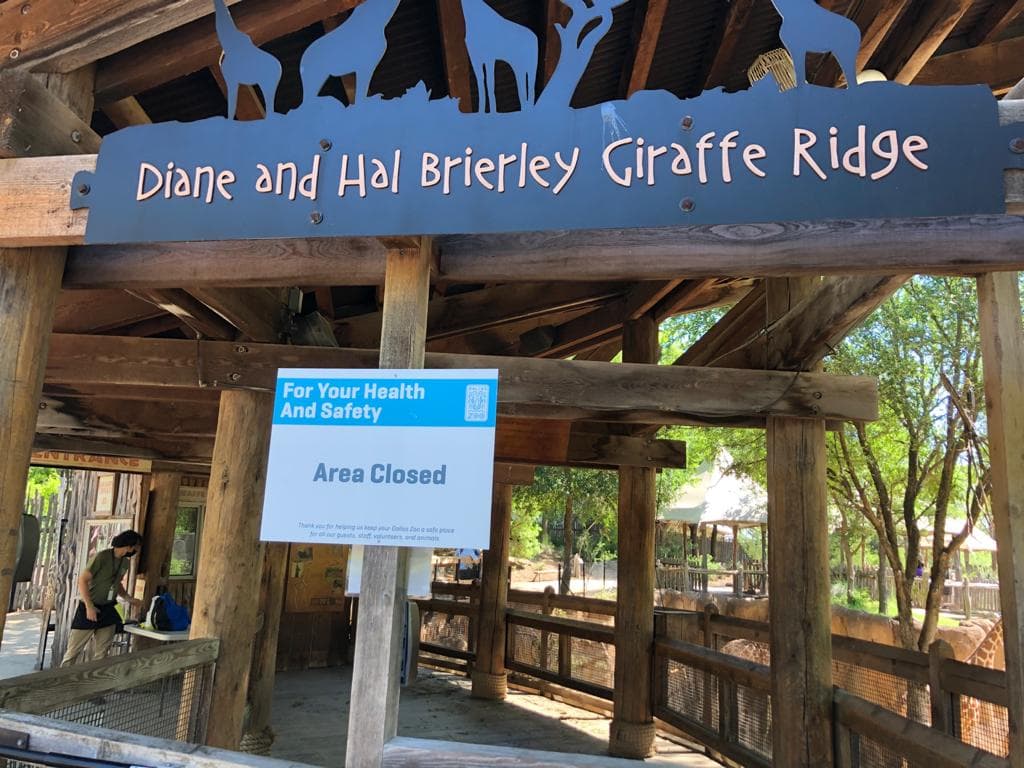 Reapertura del zoológico de Dallas