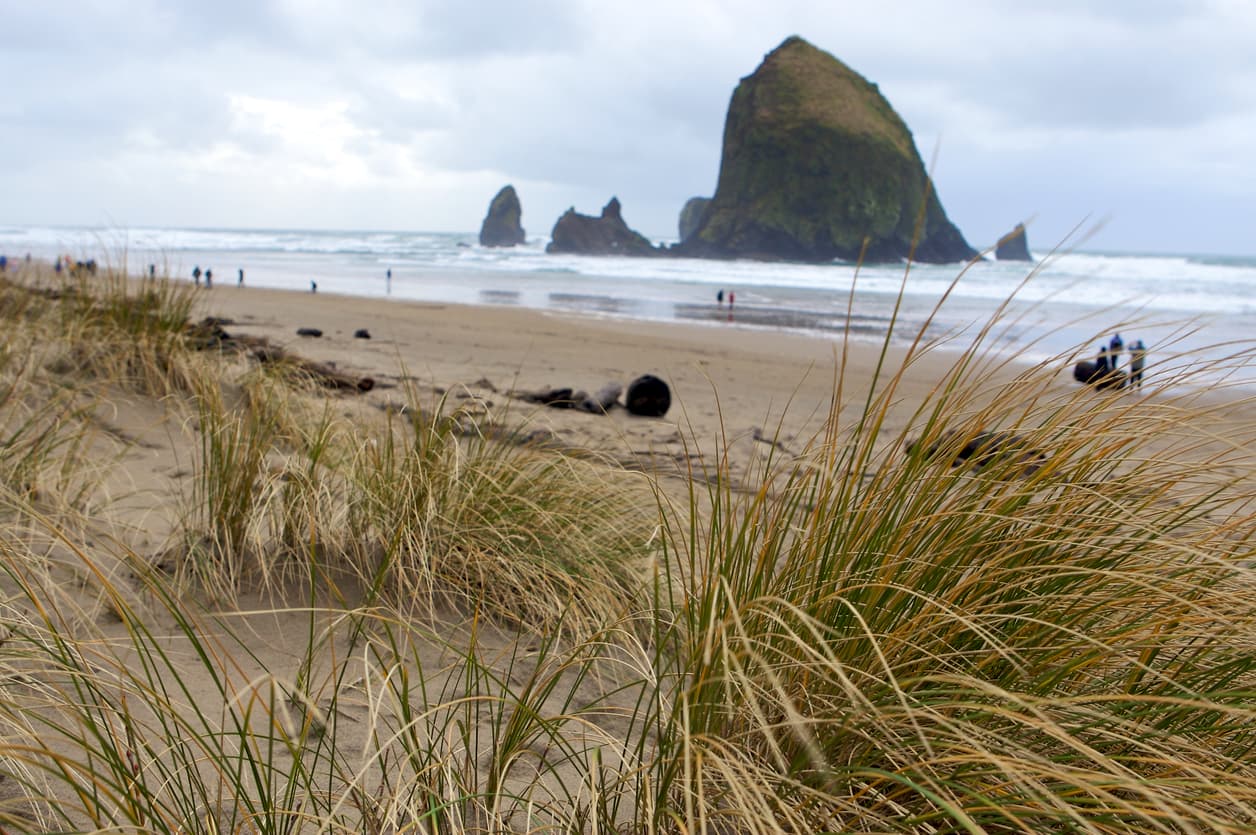 <b>6. Cannon Beach, Oregon:</b> esta ciudad costera ubuicada a unas 80 millas al noroeste de Portland es un gran destino para relajarse en la naturaleza, sin tener que gastar mucho dinero. En 2013 National Geographic incluyó a Cannon Beach dentro de los 100 lugares más hermosos del mundo. Destaca su impresionante Haystack Rock, la torre de piedra que se ve en la imagen en la playa, con sus maravillosas pozas que cambian con la marea, o Hug point, con sus bosques y senderos. Muchos se acercan a observar las peculiares especies de aves que habitan en la zona, como frailecillos, zorzales de diferentes tipos, copetudos y durante el invierno y la primavera se pueden ver cerca de 20,000 ballenas grises que pasan por el lugar como parte de su ciclo migratoria entre México y Alaska. Además, Cannon Beach también cuenta con galerías de arte, restaurantes, boutiques y alojamiento con vistas al mar.