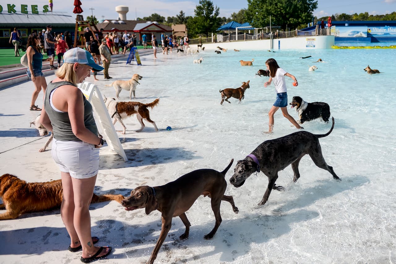 La piscina más concurrida fue la de olas.