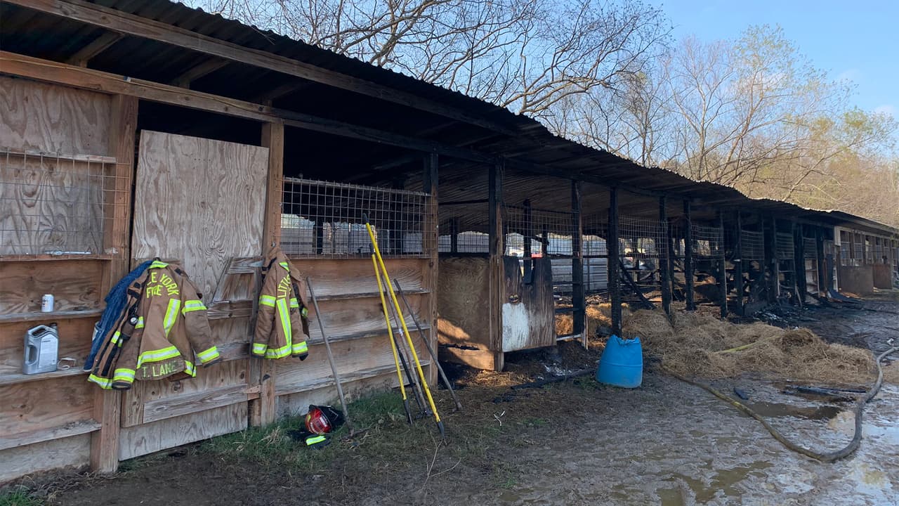 Mueren dos caballos al incendiarse un establo al norte de Houston