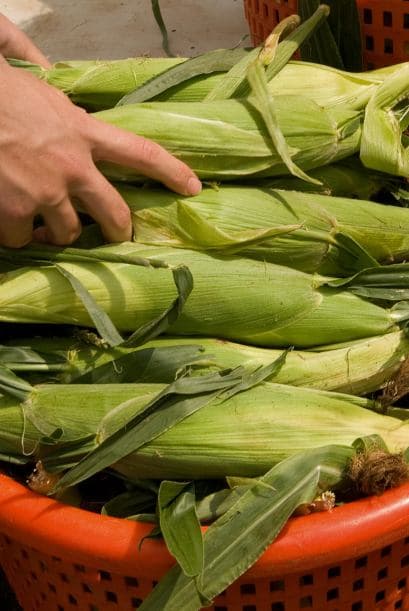 Los resultados indican que en 2013, la mitad de los habitantes de Estados Unidos consumía frutas menos de una vez por día y verduras menos de 1,7 veces por día.