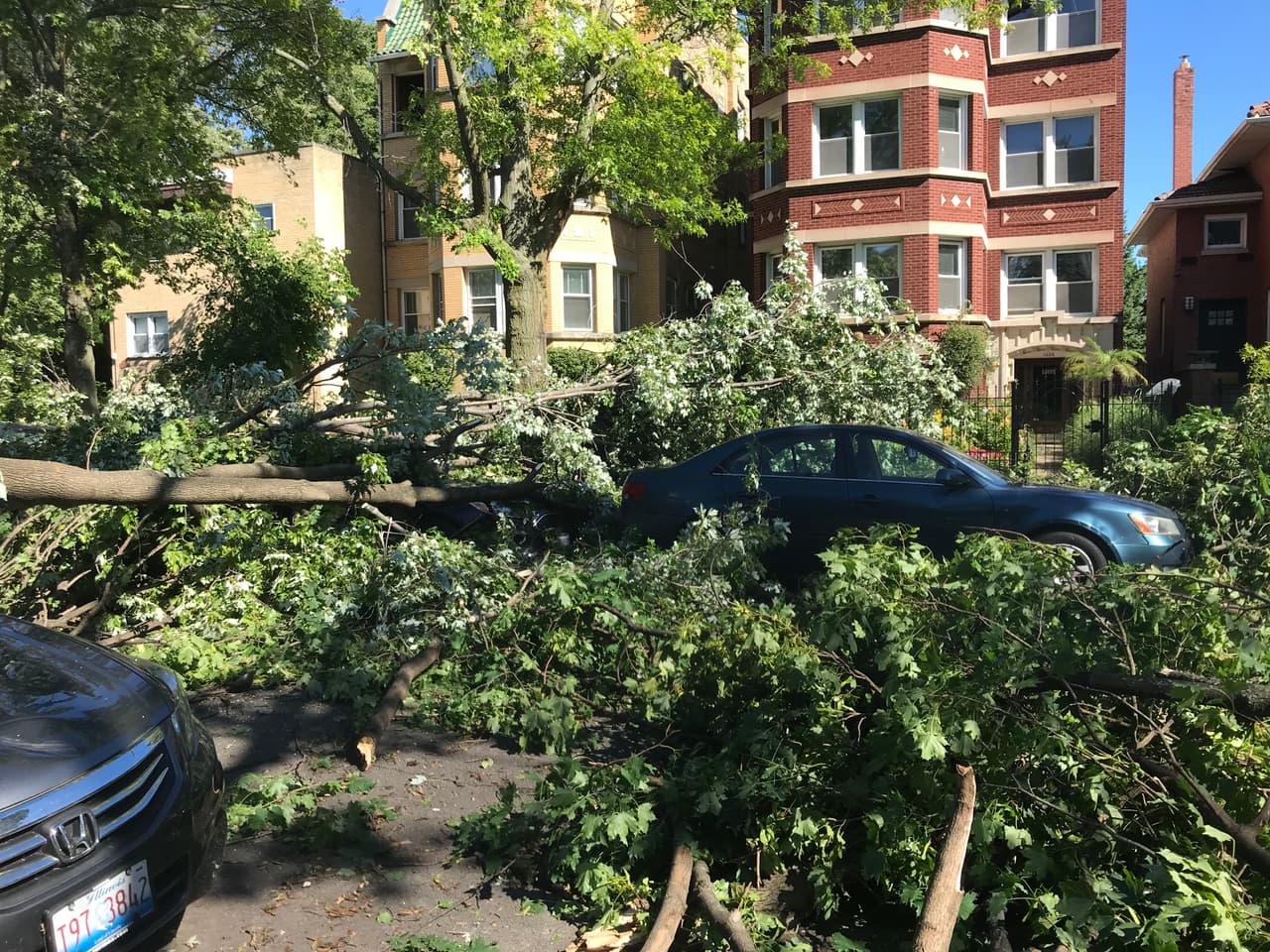 Las ráfagas máximas de viento, según medidas y cálculos, fueron de 70 a 90 millas por hora y persistieron durante más de 15 minutos y en algunos sectores fueron incluso más fuertes. Estas velocidades del viento son equivalentes a tornados categoría EF-0 a EF-1, según el Servicio Nacional de Meteorología.