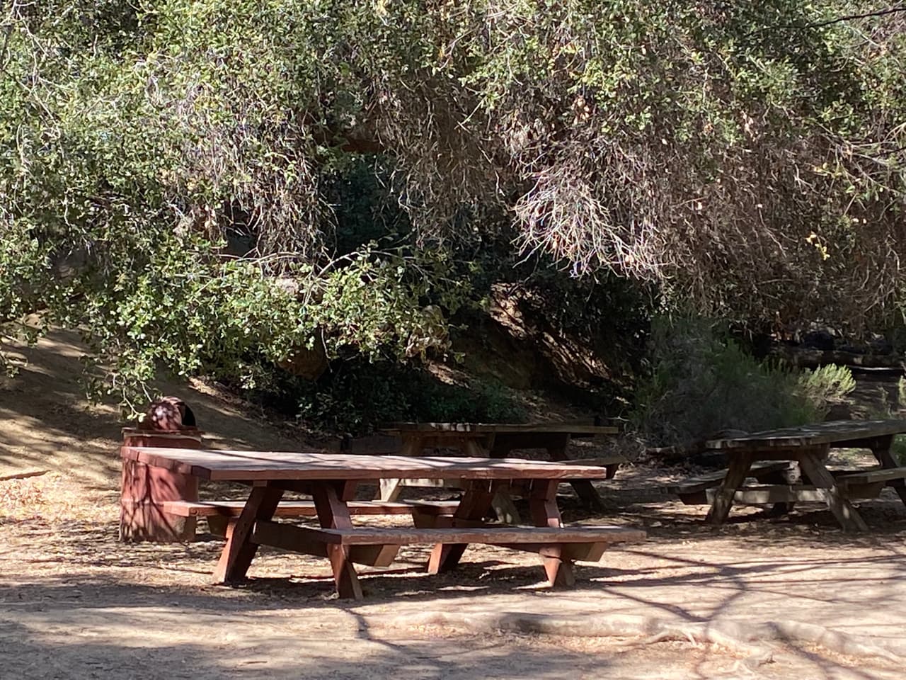 Para llegar tienes dos opciones. La primera es manejar hasta el final de Franklyn Canyon en Beverly Hills. La segunda es dejar tu vehículo en la parte baja de Franklyn Canyon y caminar más de una milla de subida.