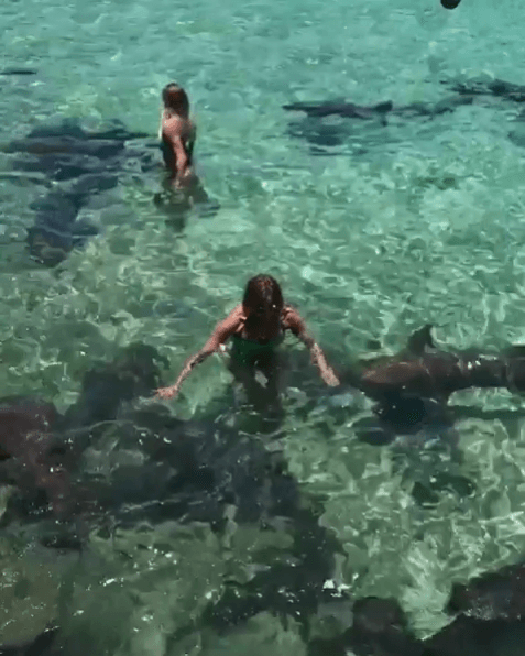 No hay duda que Lili Estefan la pasó de lo lindo conviviendo con estos maravillos y aventureros seres marinos.