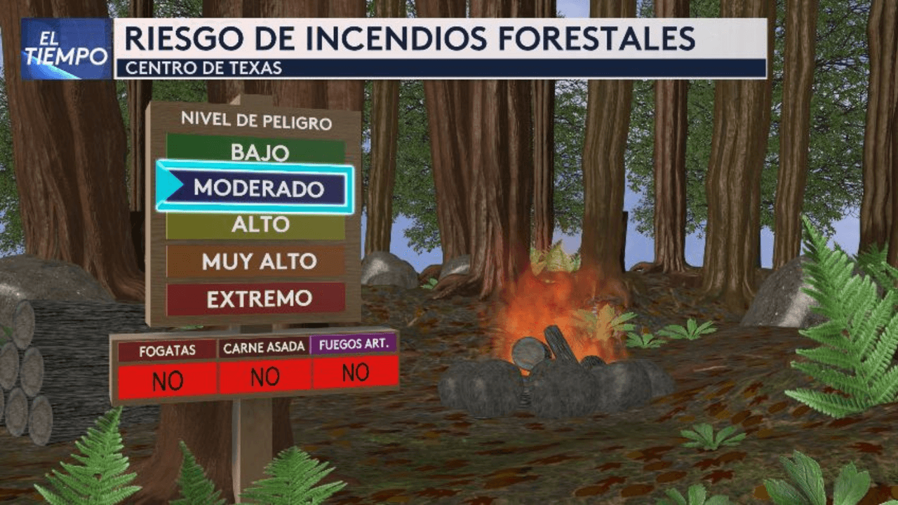 Ten cuidado con los riesgos por incendios forestales