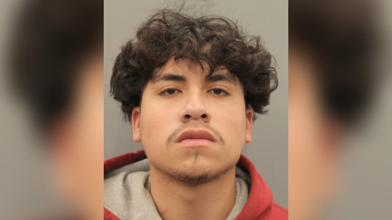 <a href="https://www.univision.com/local/houston-kxln/policia-de-houston-confirma-arresto-de-frank-deleon-tras-el-asesinato-de-diamond-alvarez">Frank DeLeón</a>, de 17 años, fue arrestado al ser el sospechoso de matar a Diamond el pasado 11 de enero.