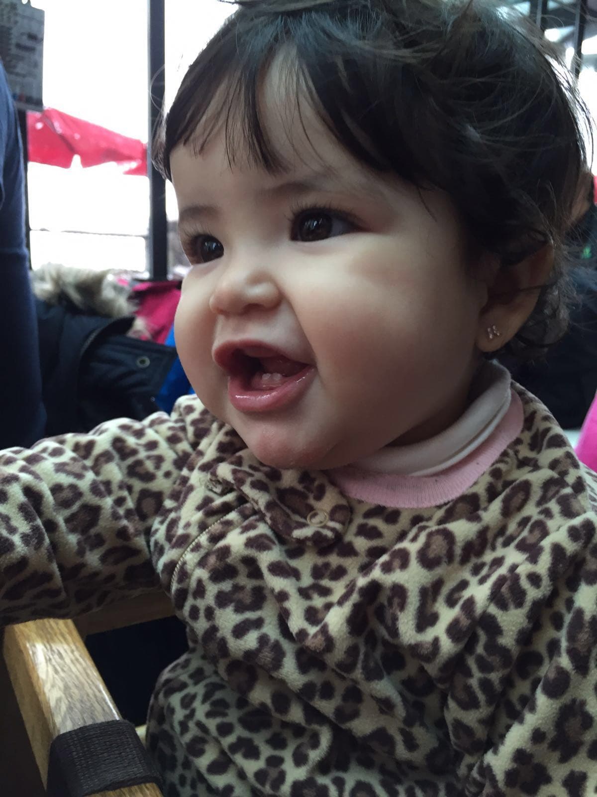 Parece que a alguien le encantó la nieve.