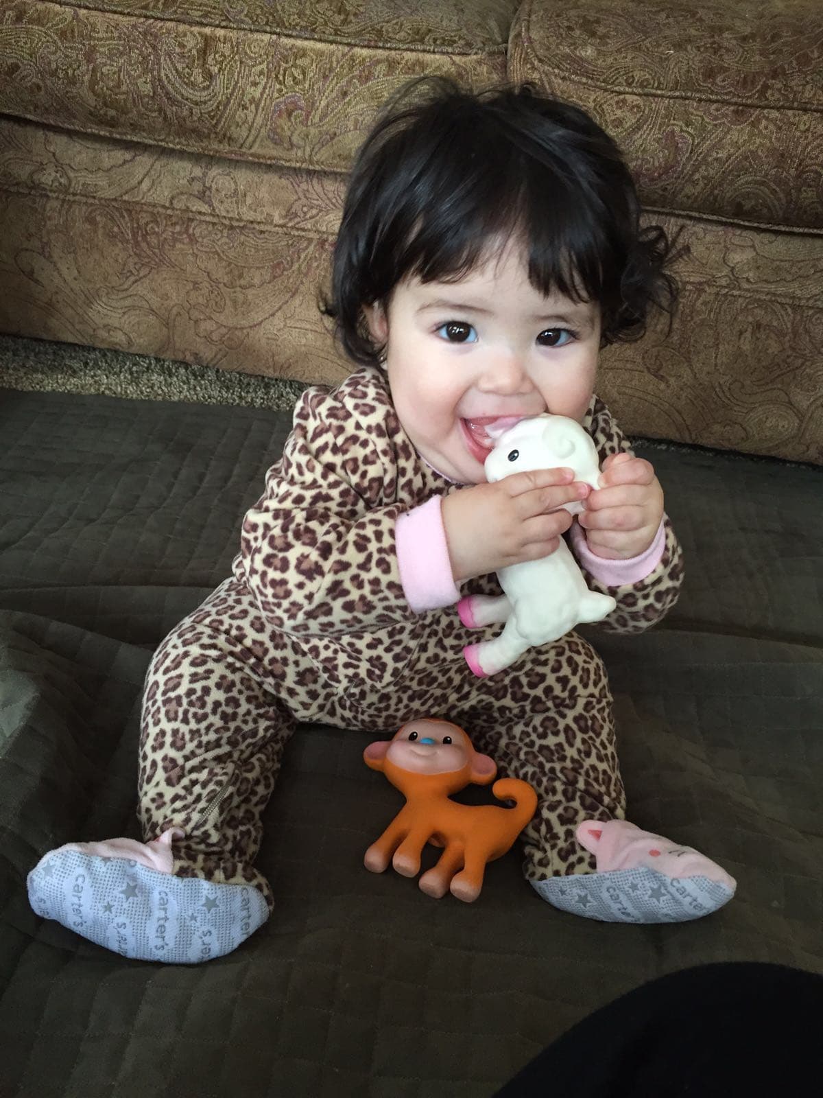 Giulietta llevó a sus mejores amigos también de vacaciones.