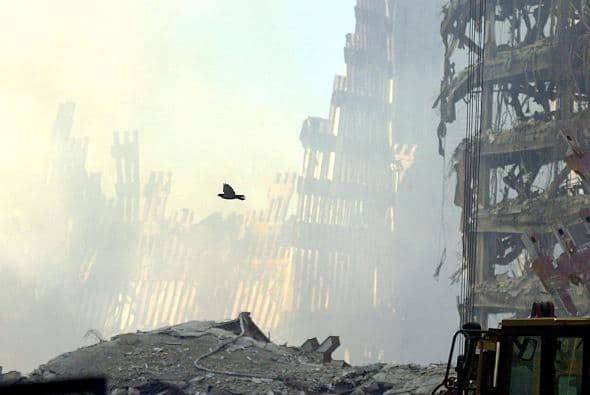 El 11 de septiembre Estados Unidos fue víctima de horrendos ataques terroristas: Al Qaeda secuestró e impactó cuatro aviones contra varios objetivos y que causaron la muerte y destrucción, siendo el episodio que precedería a la guerra de Afganistán y a la adopción por el Gobierno estadounidense y sus aliados de la política denominada de Guerra contra el terrorismo. Los atentados fueron cometidos por diecinueve miembros de la red yihadista Al-Qaida,1 divididos en cuatro grupos de secuestradores, cada uno de ellos con un terrorista piloto que se encargaría de pilotar el avión una vez ya reducida la tripulación de la cabina. Los aviones de los vuelos 11 de American Airlines y 175 de United Airlines fueron los primeros en ser secuestrados, siendo ambos estrellados contra las dos torres gemelas del World Trade Center, el primero contra la torre Norte y el segundo poco después contra la Sur, provocando que ambos rascacielos se derrumbaran en las dos horas siguientes.2 3 El tercer avión secuestrado pertenecía al vuelo 77 de American Airlines y fue empleado para ser impactado contra una de las fachadas del Pentágono, en Virginia. El cuarto avión, perteneciente al vuelo 93 de United Airlines, no alcanzó ningún objetivo al resultar estrellado en campo abierto, cerca de Shanksville, en Pensilvania, tras perder el control en cabina como consecuencia del enfrentamiento de los pasajeros y tripulantes con el comando terrorista.