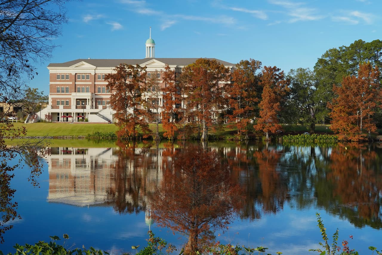 <h3 class="cms-H3-H3">3. Monroe, Louisiana</h3>
<br>
<br>💵
<b> Tasa de pobreza concentrada: </b>38.4%
<br>
<br>💵
<b>Tasa de pobreza en general: </b>23.4%
<br>
<br>💵
<b>Barrios en extrema pobreza: </b>13 de 59.
<br>
<br>💵
<b>Ingreso promedio por hogar:</b> $31,202 en barrios pobres, $69,834 en el resto.
<br>