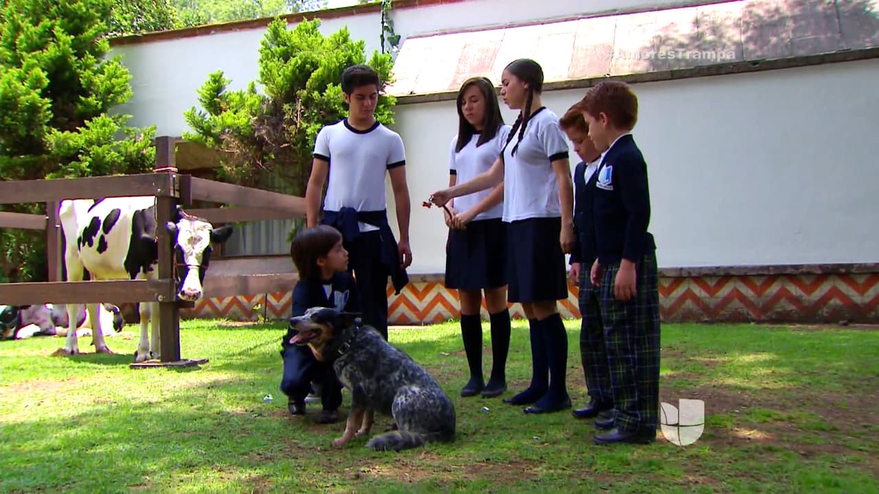 Así que decidieron ayudarse con el amado Murci para que encontrarlo.