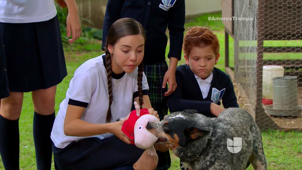 Eso sí, encontró un puerquito... pero de peluche.