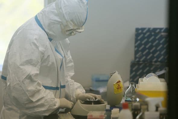 Según el autor del escrito Yoshihiro Kawaoka, de la Universidad de Wisconsin-Madison, “es importante comprender los mecanismos involucrados en la adaptación e identificar las mutaciones clave de forma que podamos prepararnos mejor”.