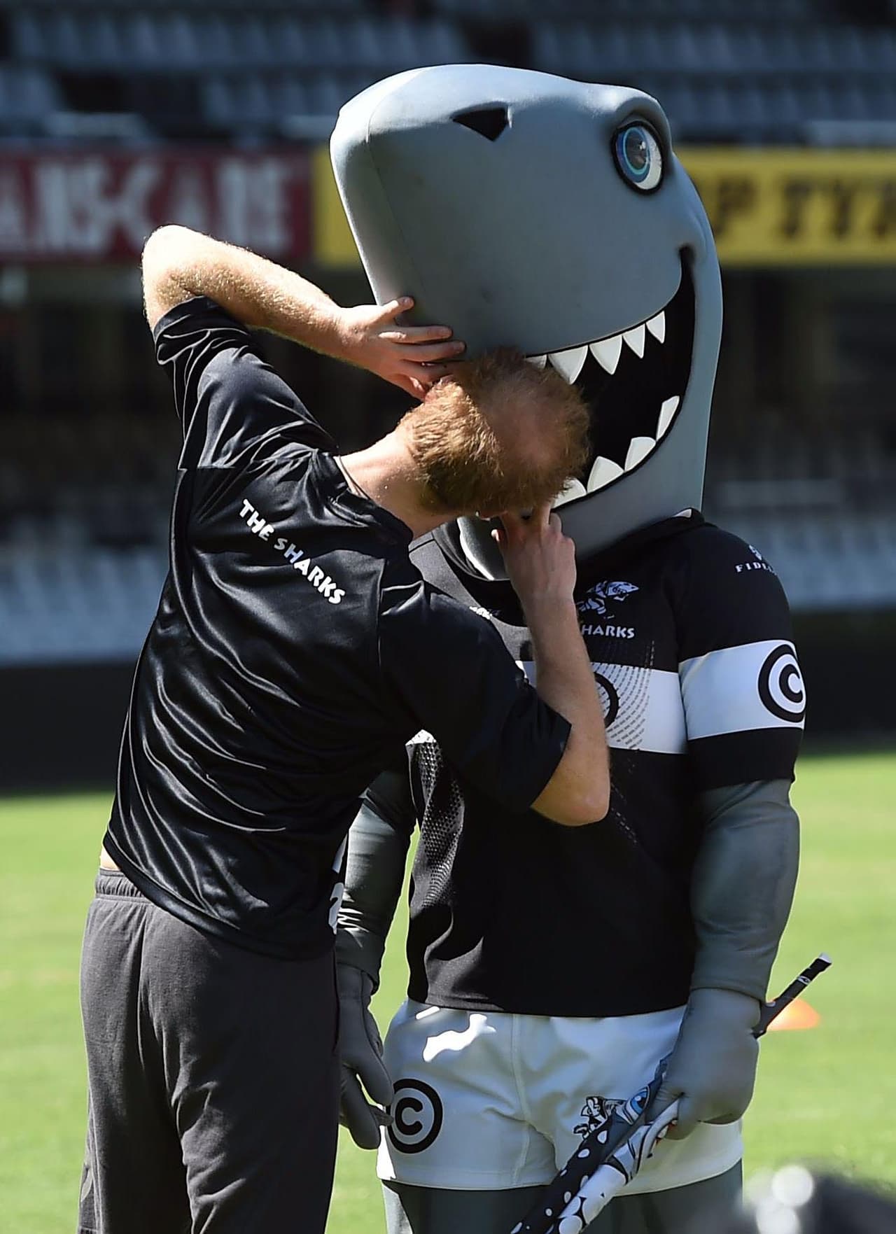 ¿O es un tierno besito?