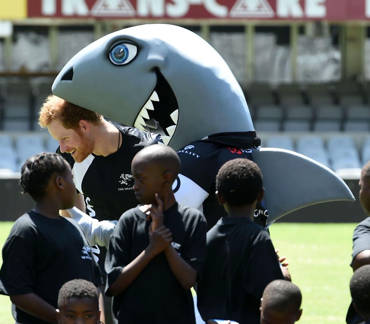 ¡Hasta que lo atacó la mascota del equipo!