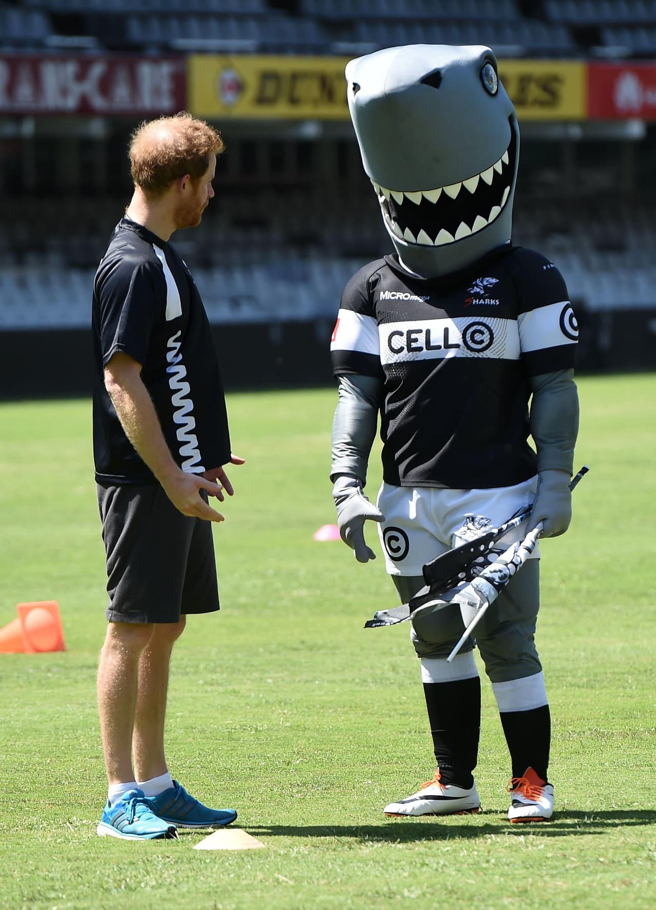 ¿Le estará reclamando su atrevimiento a la mascota?