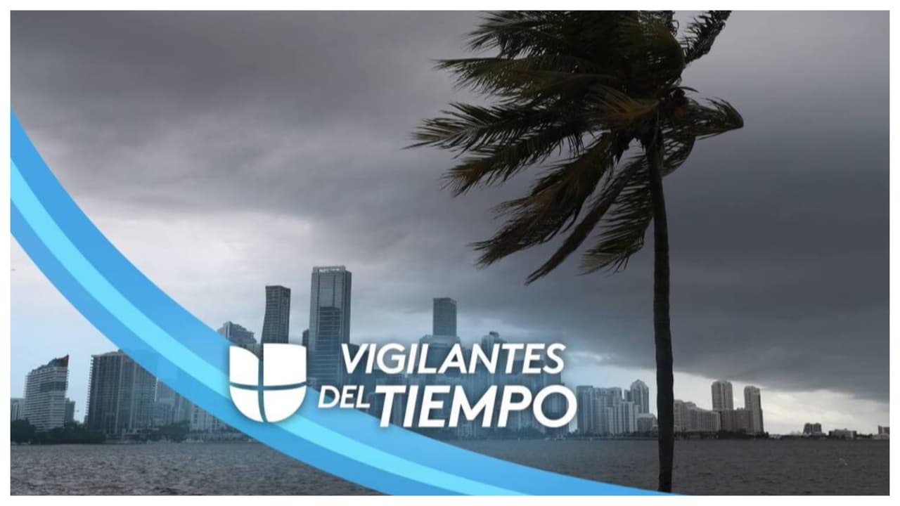 Cielos parcialmente nublados y aguaceros dispersos: el pronóstico para la tarde del sábado en Miami