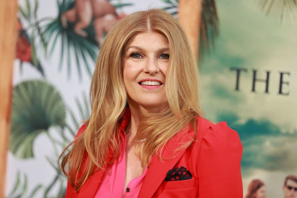 Connie Britton es otra de las figuras que se estima apoyaría a Kamala Harris en la Convención Nacional Demócrata de 2024 participando como oradora o en eventos para movilizar a votantes, especialmente a mujeres progresistas. En el pasado, Britton ha demostrado su apoyo a Harris al participar en una reunión virtual llamada "White Women Answer the Call 2024," que recaudó millones de dólares para la campaña de Harris. Este apoyo subraya su compromiso con las causas progresistas y con la candidatura de Harris