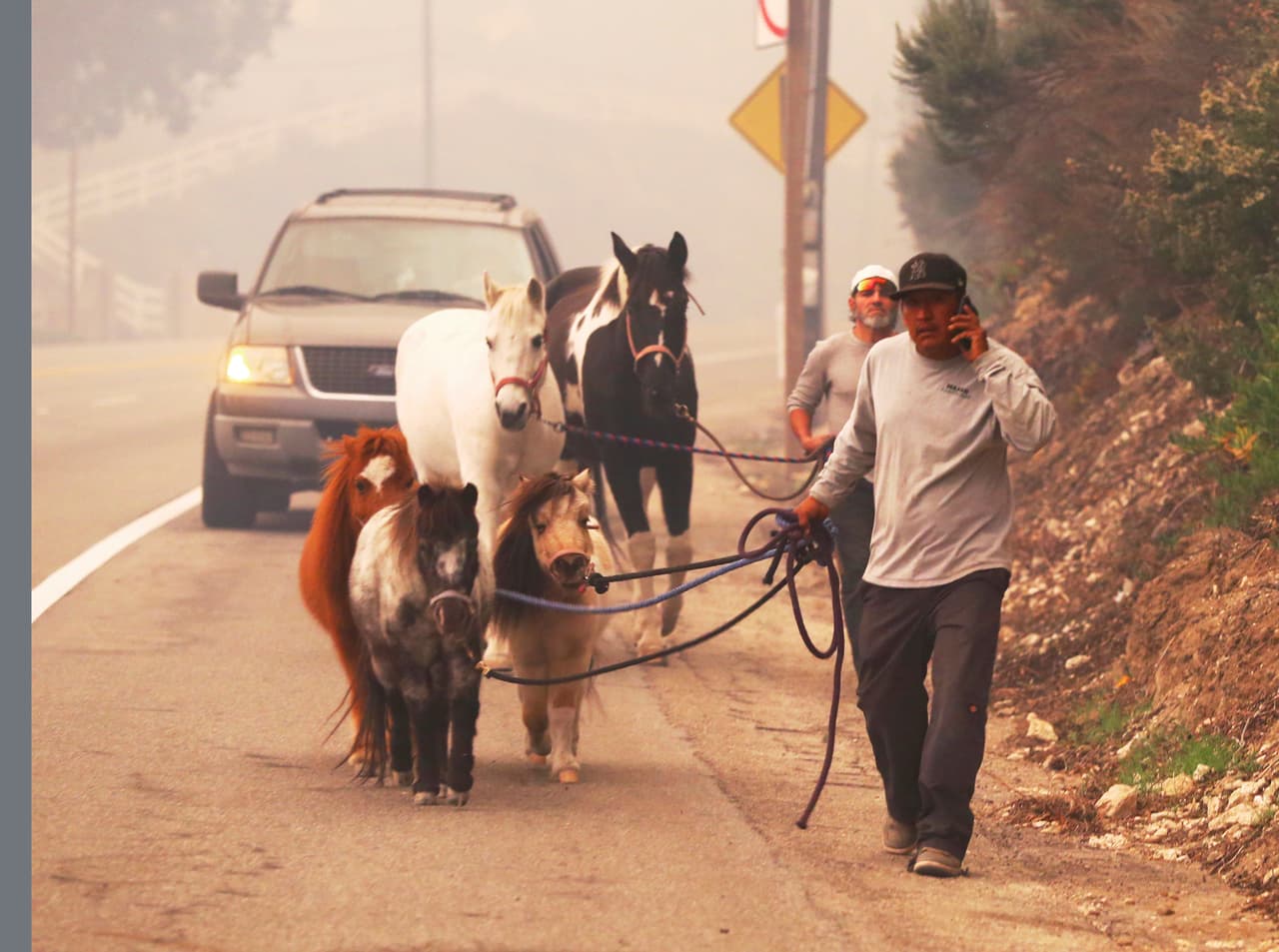 Ponis y caballos en camino a la playa de Zuma, en la costa del Pacífico, donde serían resguardados del fuego Woosley. Este incendio ha destruido varias residencias en Malibu. 
<b>Al menos dos personas murieron por el fuego al sur de California.</b>
