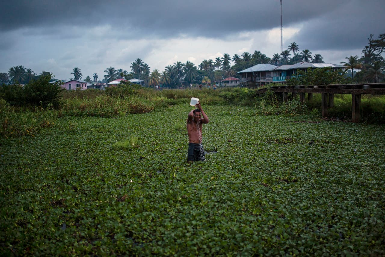 El gobierno de Honduras dice que la pesca del crustáceo le significó 40 millones de dólares en 2017. Prácticamente la totalidad de las ventas son para el mercado de Estados Unidos.
