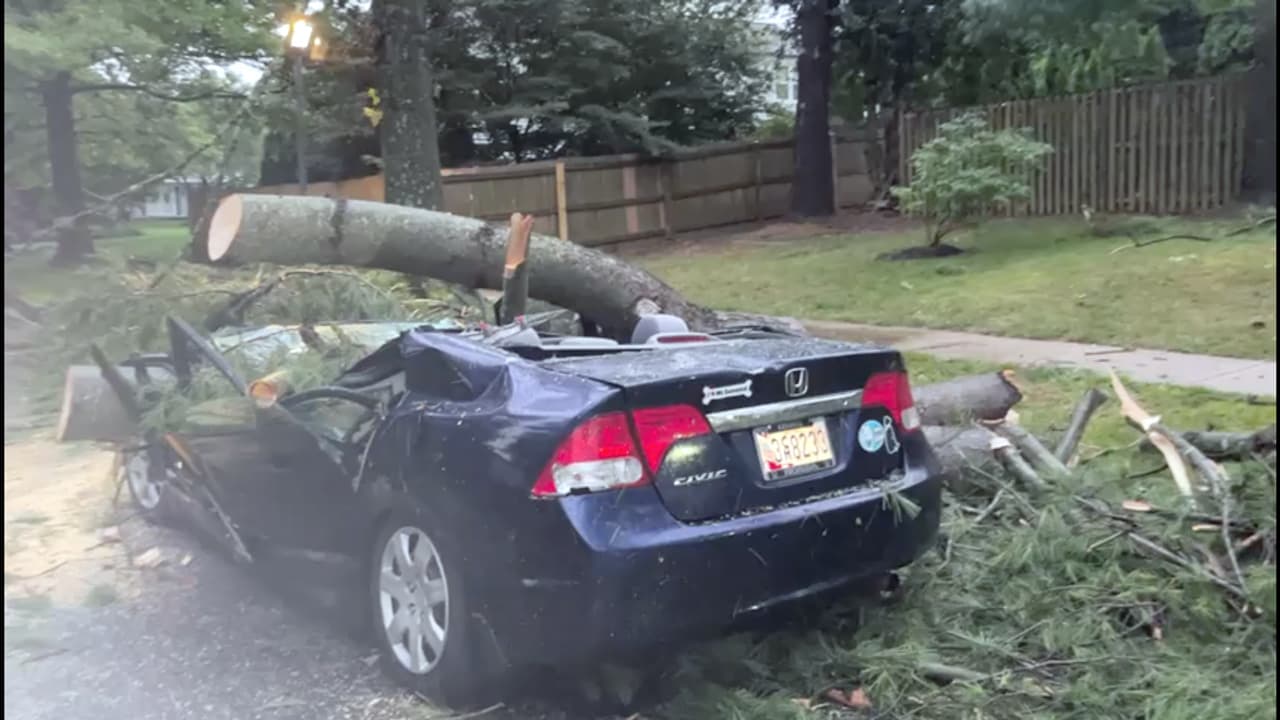 Un árbol cayó encima de un Honda Civid en Olney, MD, donde de 20 a 30 casas tuvieron daños al paso de la tormenta.