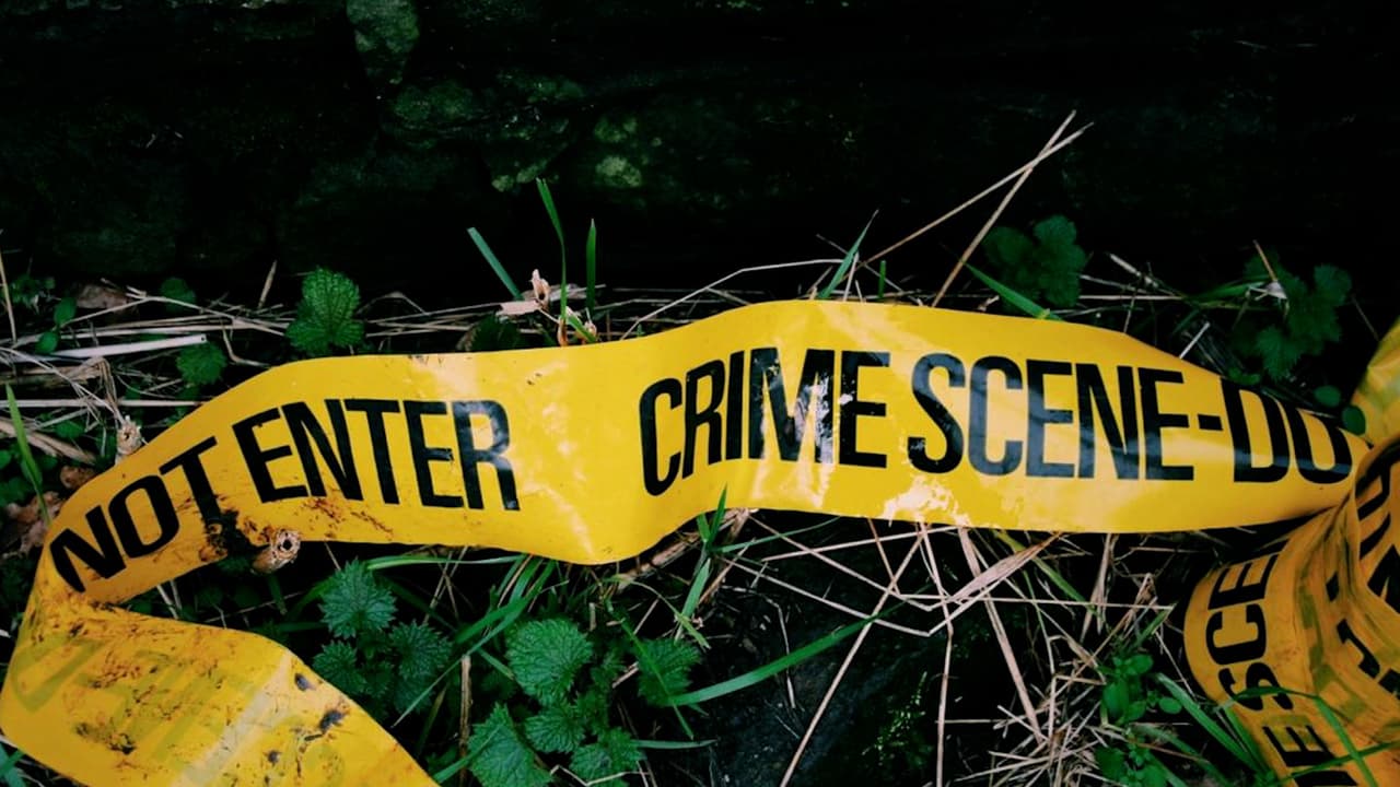 Hallan el cuerpo de una mujer dentro de un vehículo tras caer de un puente en el norte de Houston