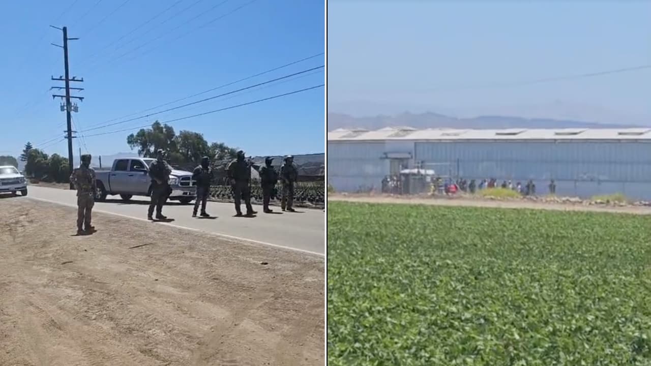 ICE y Patrulla Fronteriza irrumpen en campos de Camarillo y Oxnard con decenas de agentes