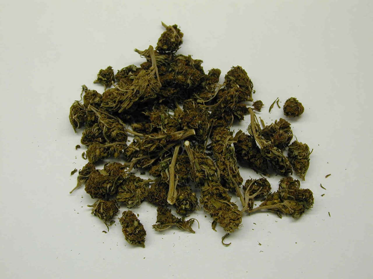<h3 class="cms-H3-H3">Marihuana</h3>
<br>
<br>Esta droga es una mezcla gris-verdosa de hojas y flores secas trituradas del cannabis sativa, la planta del cáñamo. 
<br>
<br>Muchas personas 
<a href="https://www.drugabuse.gov/es/publicaciones/serie-de-reportes/la-marihuana/que-es-la-marihuana" target="_blank">optan por fumar esta droga en cigarros armados a los que llaman porros</a>, en pipas o directamente reemplanzando -parte o todo- el tabaco de los cigarros. Además, también se puede usar para alimentos como brownies, galletas o dulces, de acuerdo con el NIH.
<br>
<br>La agencia precisa que esta sustancia también se puede usar para preparar té, especialmente cuando se vende o consume con fines medicinales. 
<br>
<br>Algunos efectos en la salud de los consumidores, a corto plazo, 
<b>pueden ser somnolencia, retraso en el tiempo de reacción, problemas de coordinación y equilibrio, aumento de la frecuencia cardíaca</b> y problemas de aprendizaje y memoria. 
<br>
<br>A largo plazo pueden presentarse problemas de salud mental, tos crónica e infecciones respiratorias frecuentes.
<br>
<br>El consumo durante el embarazo podría generarle a los bebés recién nacidos problemas de atención, de memoria y disminuir la capacidad para resolver problemas. 
<br>
<br>Hasta el momento, la FDA no ha aprobado ningún medicamento para tratar la adicción de esta droga. 
<br>
