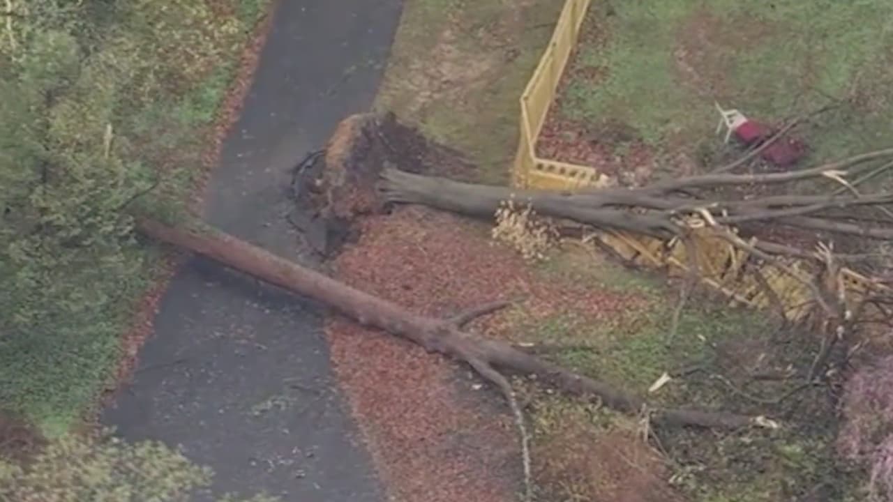 Tormenta golpea Philadelphia con fuertes vientos y daños