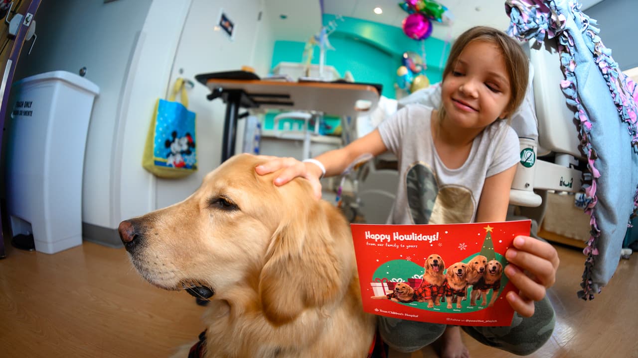 Proporciona consuelo y distracción durante un procedimiento médico, así como apoyo psicosocial al paciente y a la familia.