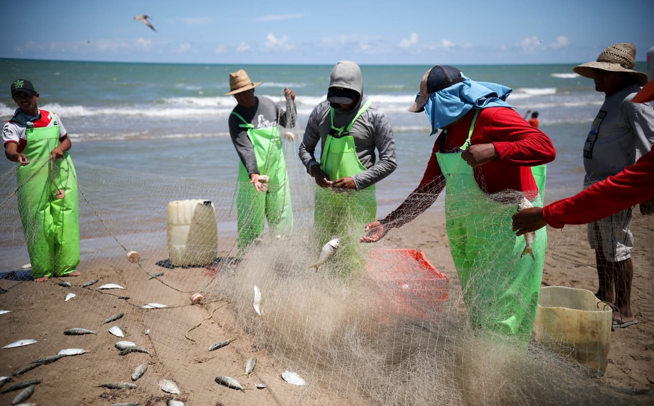 Álvarez explica que la zona es controlada por “la guardia”, pero no la Guardia Nacional, sino exoficiales que “reportan para la maña”. En el poblado la música de banda de los comederos de la playa se mezcla con los gritos de los vendedores de ostiones, camarones o cerveza.