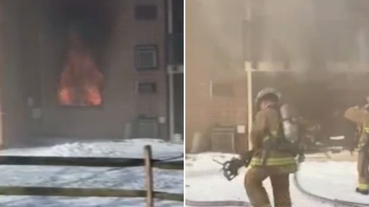 Una madre sale a dejar a sus hijos a la escuela y a los minutos su apartamento se incendia en Falls Church