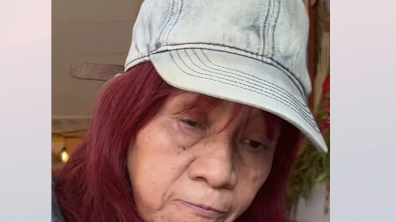 Minerva Martínez, la mujer de 65 años que murió atropellada en Belmont Cragin